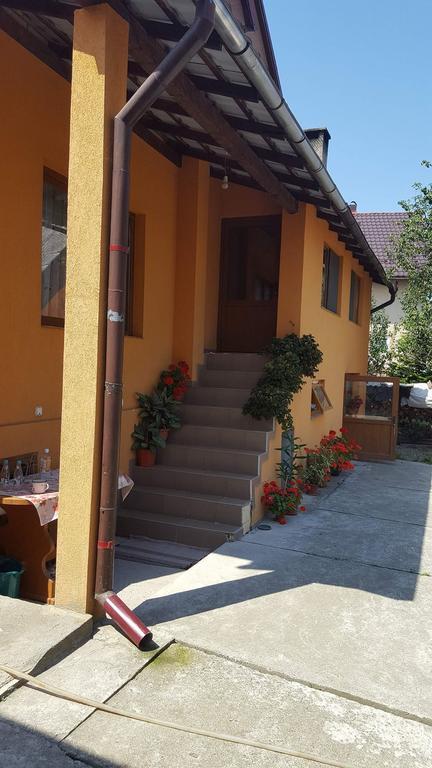 Pensiunea Popan Sieu  Exterior photo